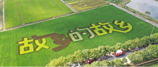 新藍(lán)網(wǎng)