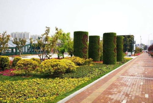 【五色草景觀雕塑造型佛甲草雕塑造型適合擺放在什么場(chǎng)合】- 